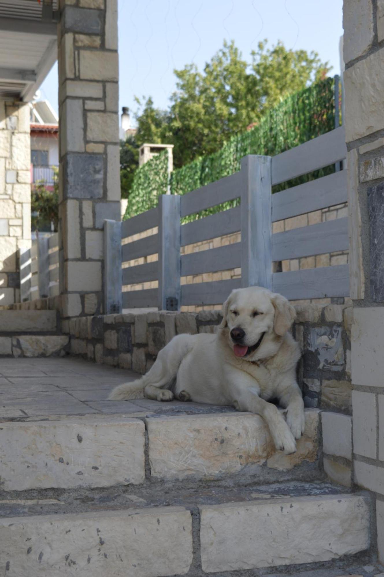 Aquarock Villa With Private Pool Prassás Dış mekan fotoğraf